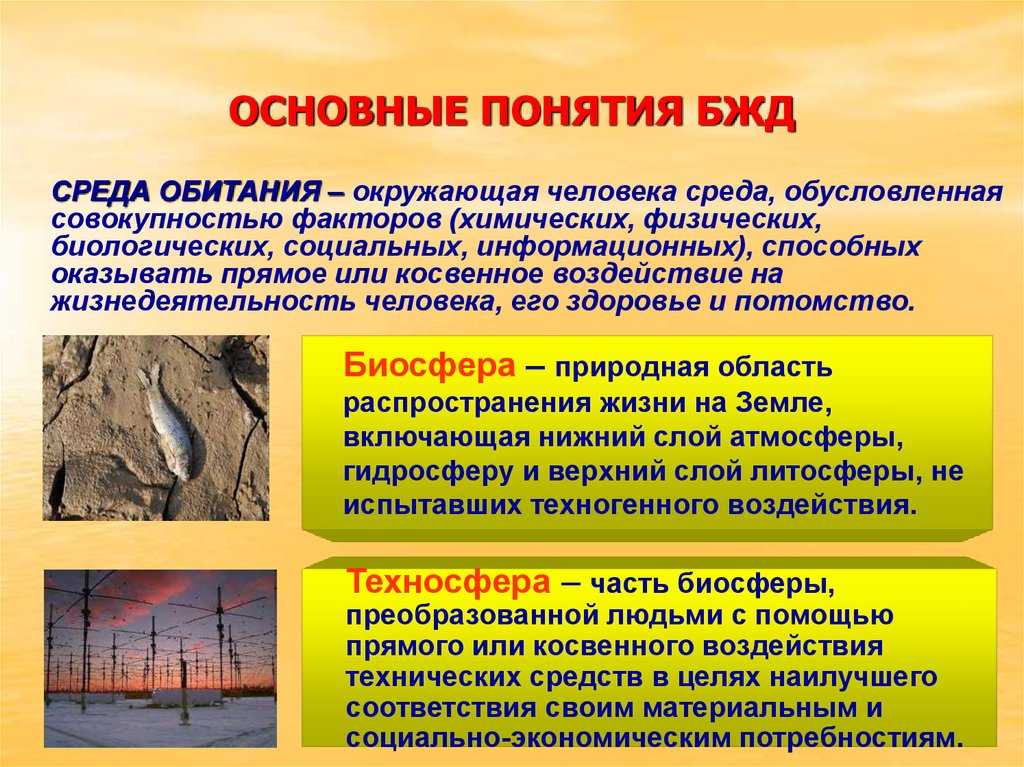 Основные понятия, термины и определения безопасности жизнедеятельности