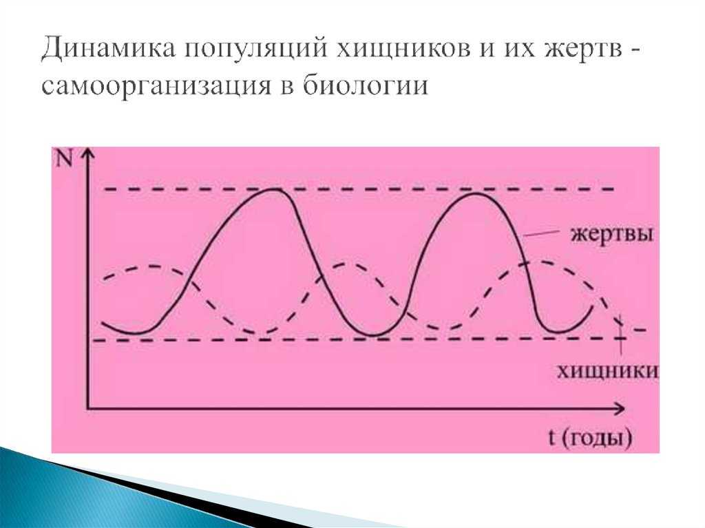 *§ 39—1. динамика численности популяций: типы роста численности популяций