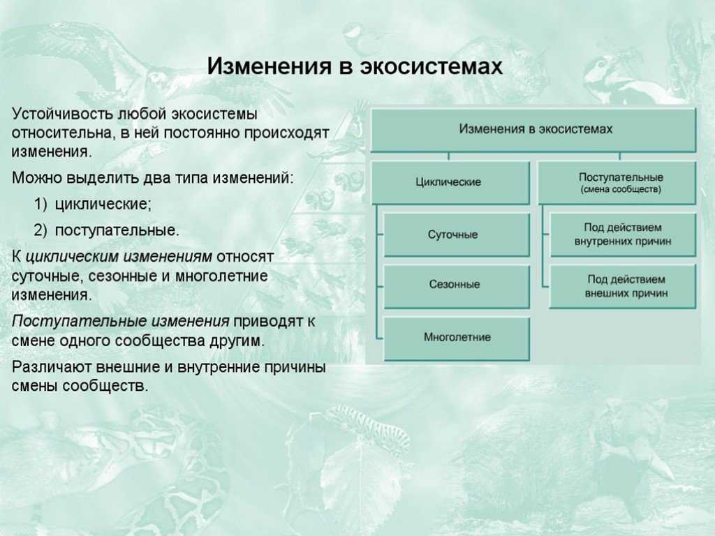 26. причины устойчивости и смены экосистем. биология. общая биология. 11 класс. базовый уровень