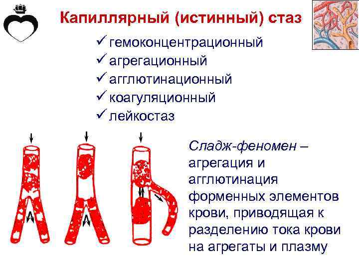 Ритуал-сервис - кто поможет в трудную минуту...
