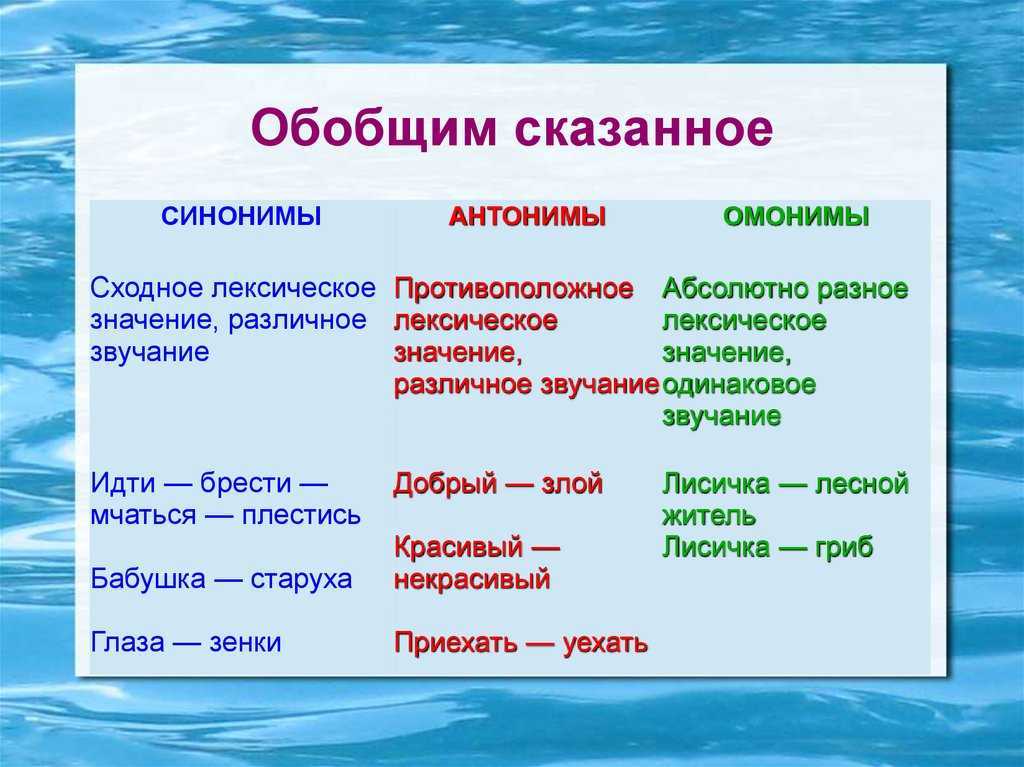 Антонимы - значение слова, правила определения, типы