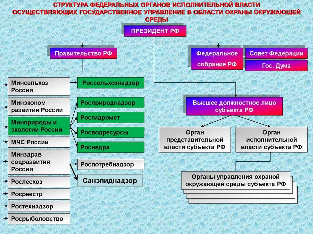 Система органов экологического управления