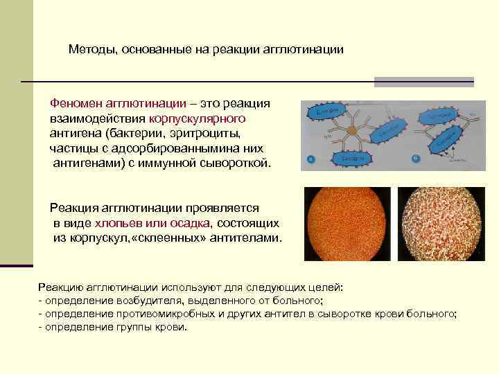 Способ постановки реакции латексной агглютинации российский патент 2003 года по мпк g01n33/531 g01n33/569 