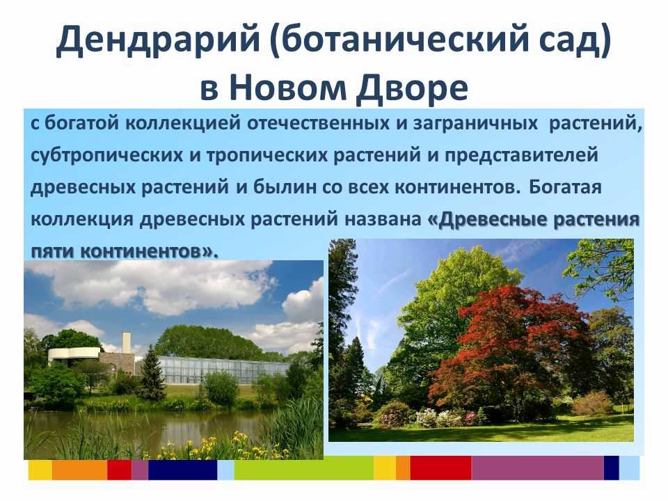 Дендрологические парки и ботанические сады реферат