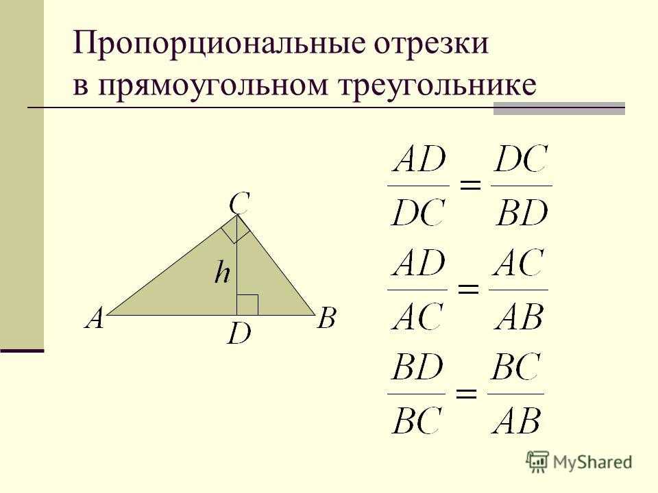 Теорема пропорциональных отрезков треугольника