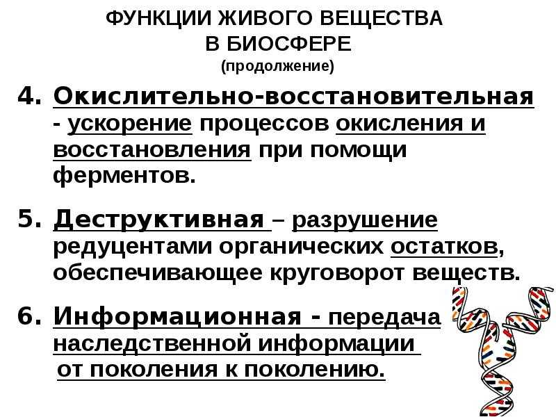 Роль живого вещества в создании биосферы - егоренков л.и. и др. геоэкология