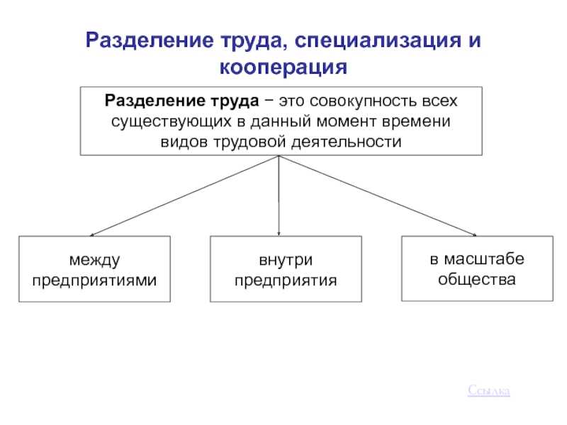 Разделение и специализация труда доклад