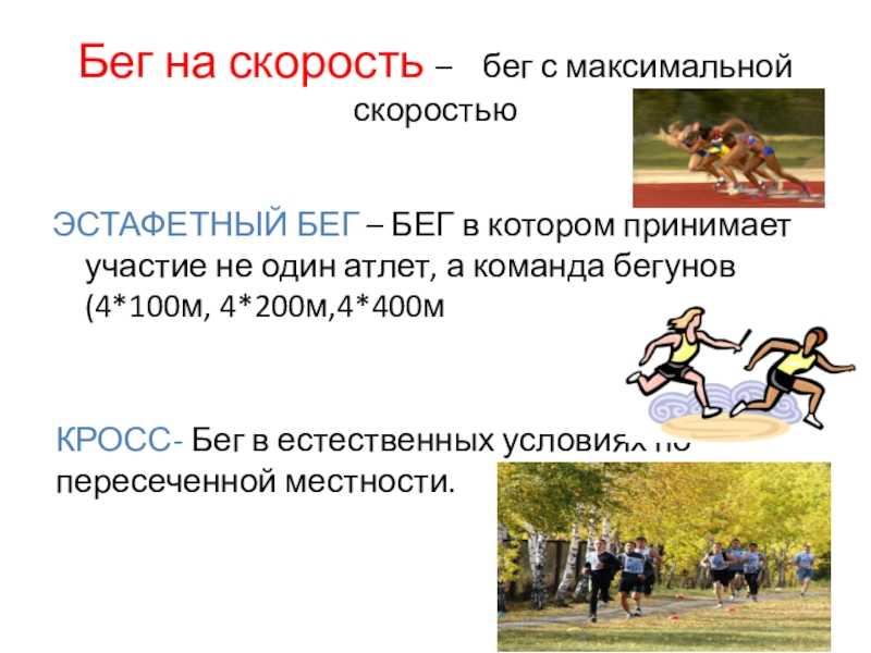 Физические качества и двигательные способности спортсмена