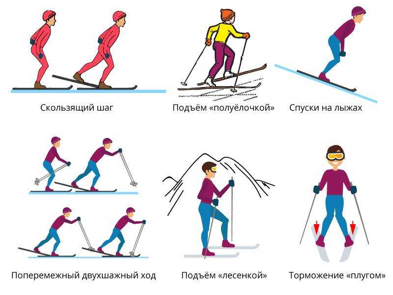 Одновременные лыжные ходы