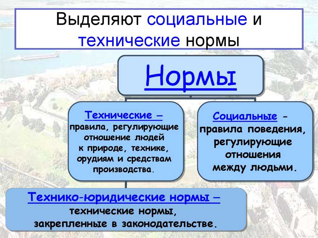 Технические и социальные нормы их виды доклад