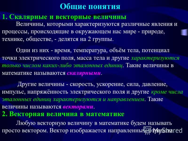 Векторная и скалярная величина — чем они отличаются?