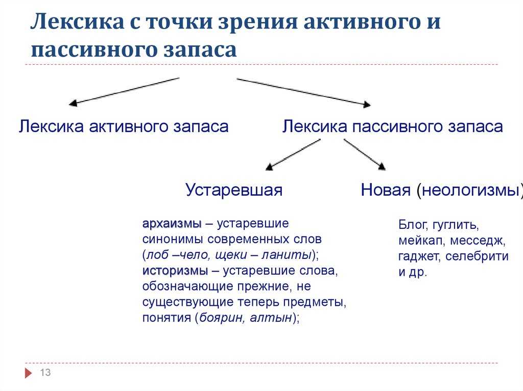 Лексика русского языка с точки зрения употребления и происхождения