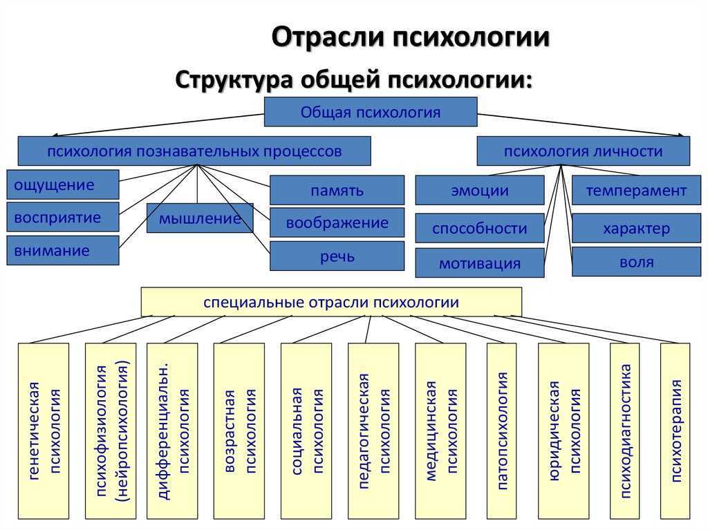 Основные отрасли современной психологии — психология закономерностей