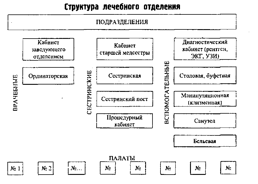 Устройство функции лечебного отделения