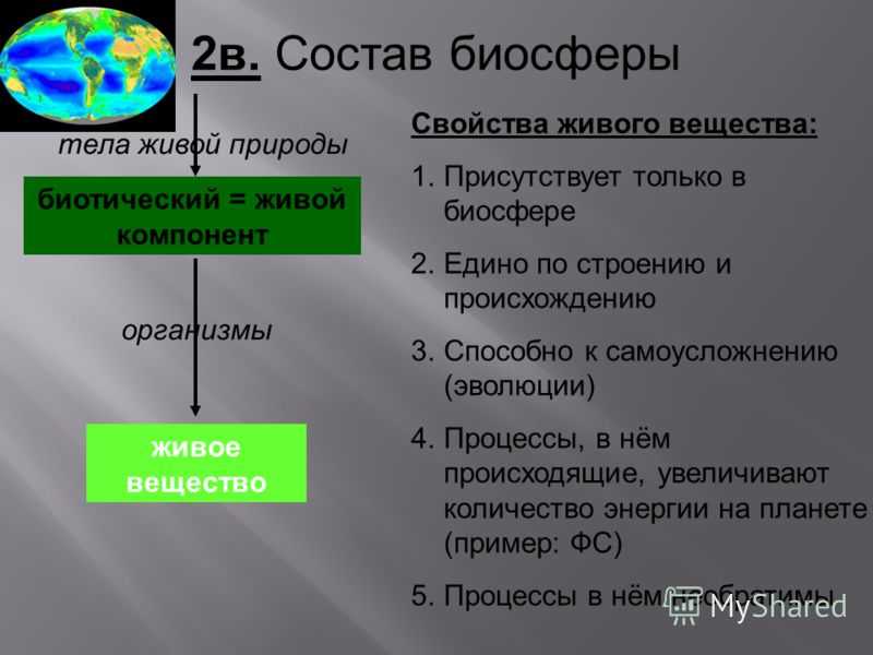 Живое вещество, понятие. живое вещество. химический состав живого вещества. свойства и функции живого вещества