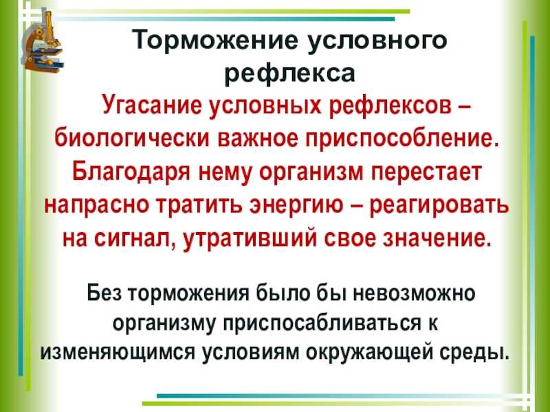 Торможение условных рефлексов