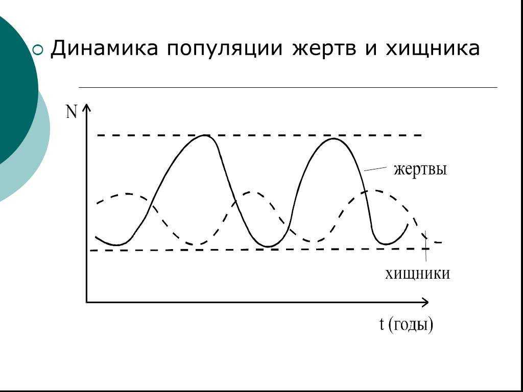 Динамика популяций.