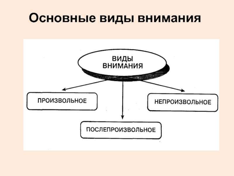 Внимания: определение, свойства, функции