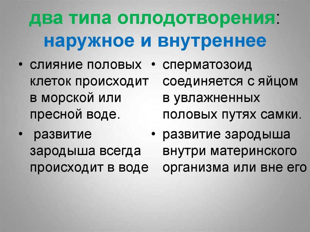 Урок 11: формы размножения организмов - 100urokov.ru