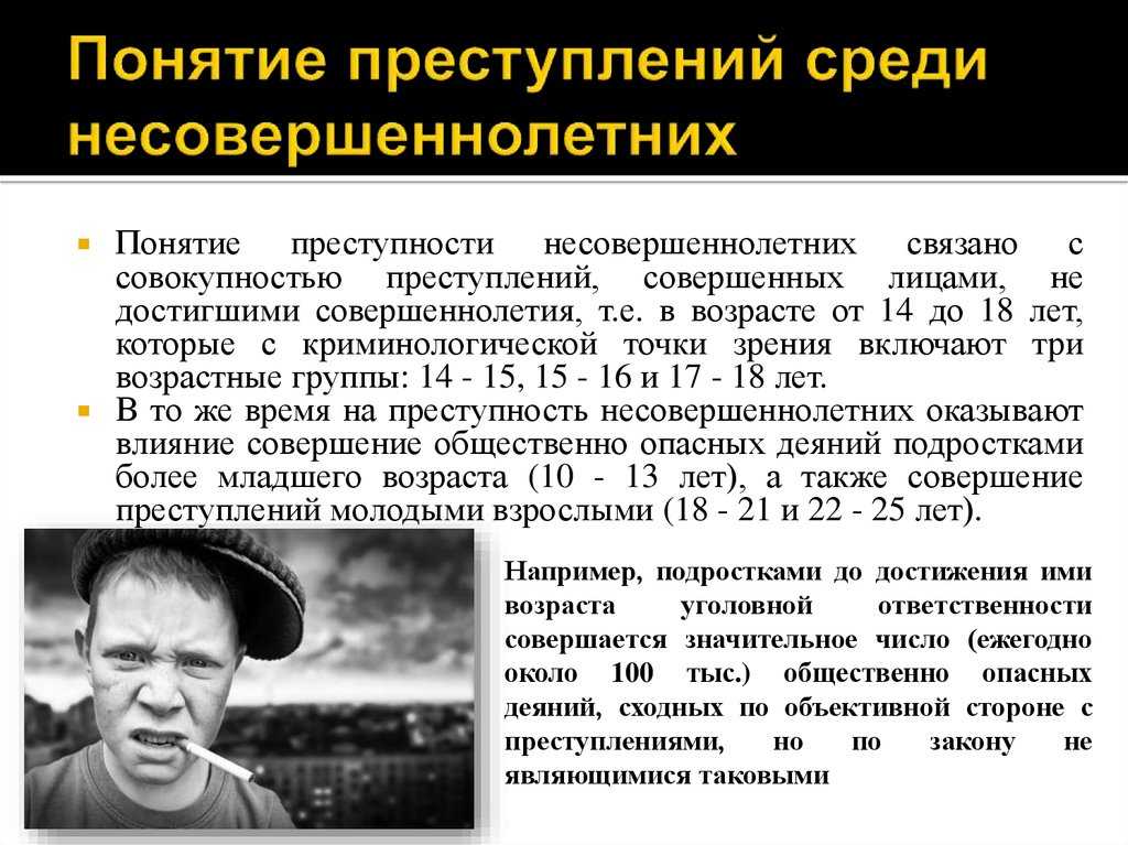 Криминологическая характеристика и профилактика преступлений несовершеннолетних и молодежи | статья в журнале «молодой ученый»
