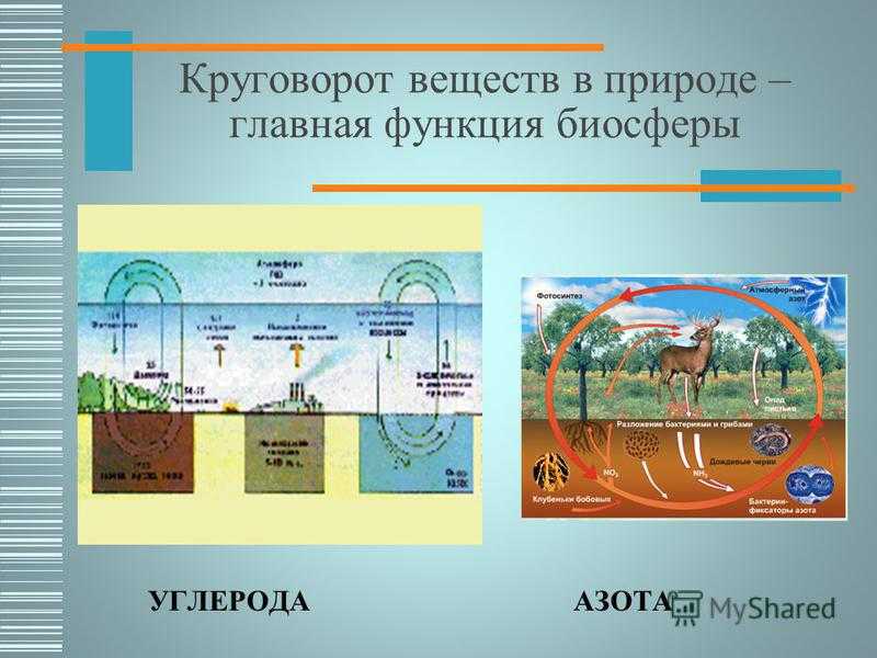 Геологический (большой) круговорот веществ
