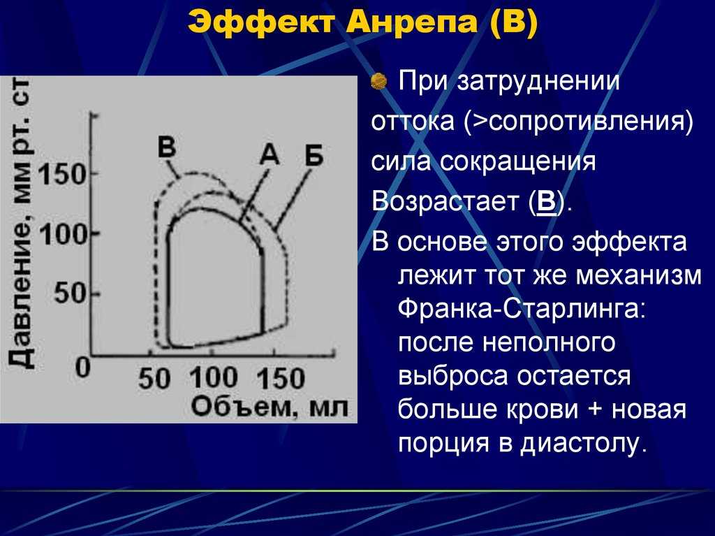 Феномен эффект анрепа характеризует