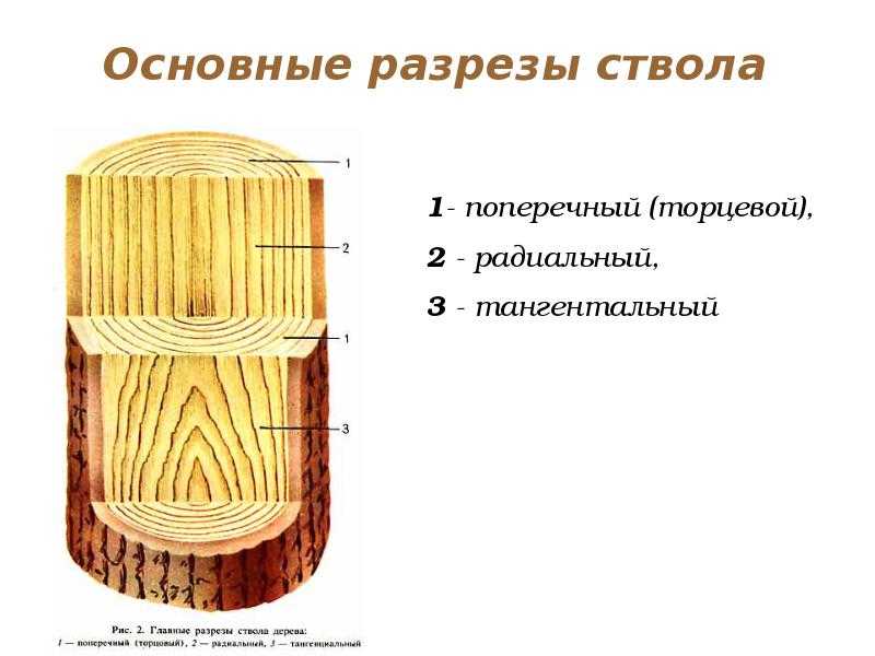 Способы распиловки древесины