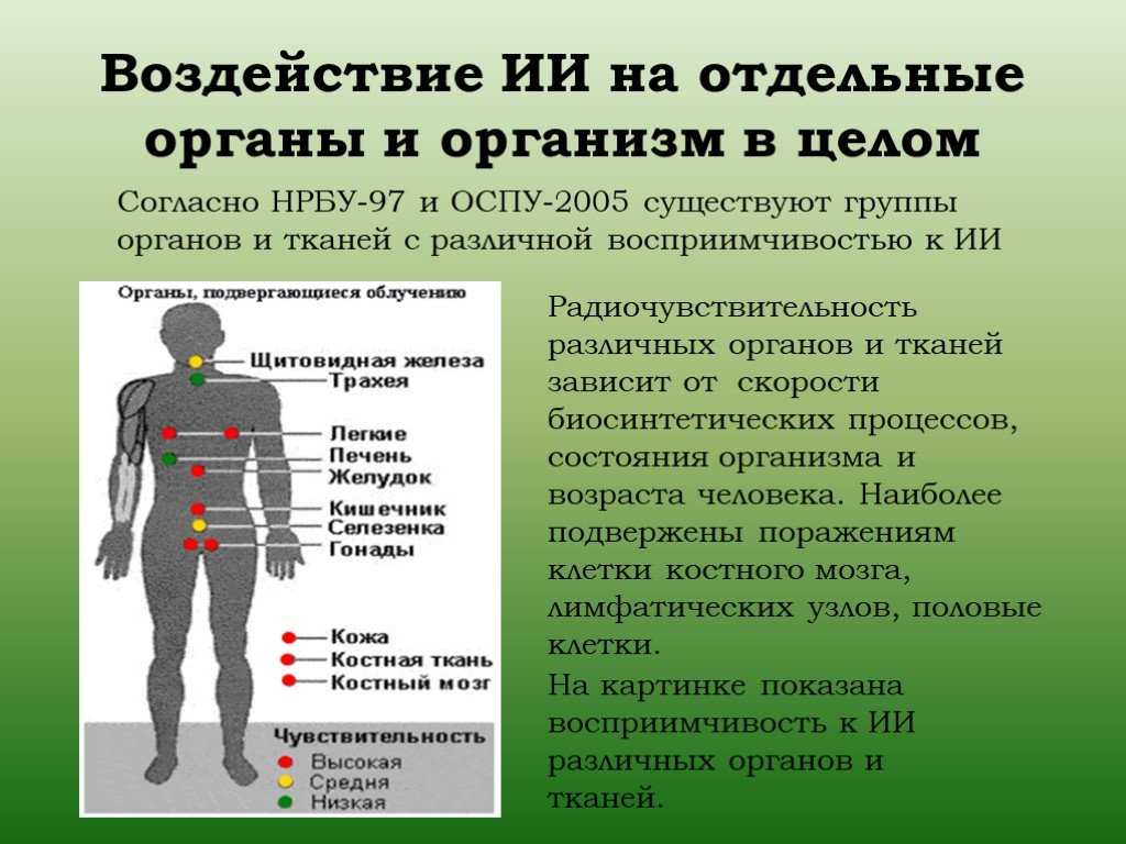 Заблуждения, из-за которых вы не выживете при ядерном взрыве