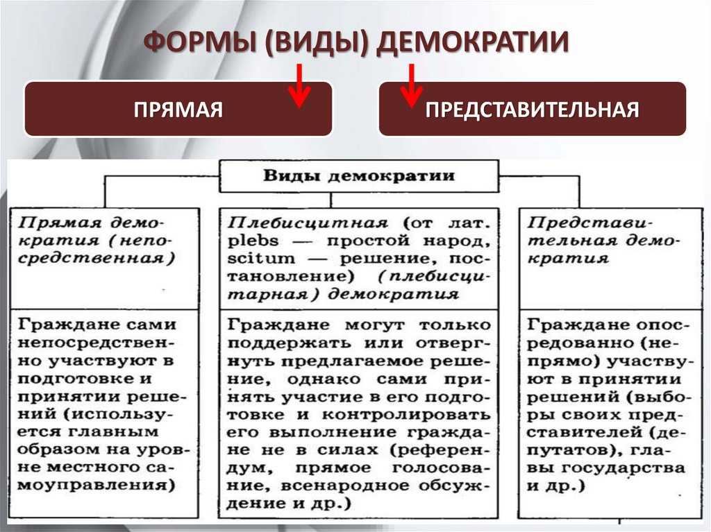 Представительная  демократия: что это такое, признаки, как осуществляется