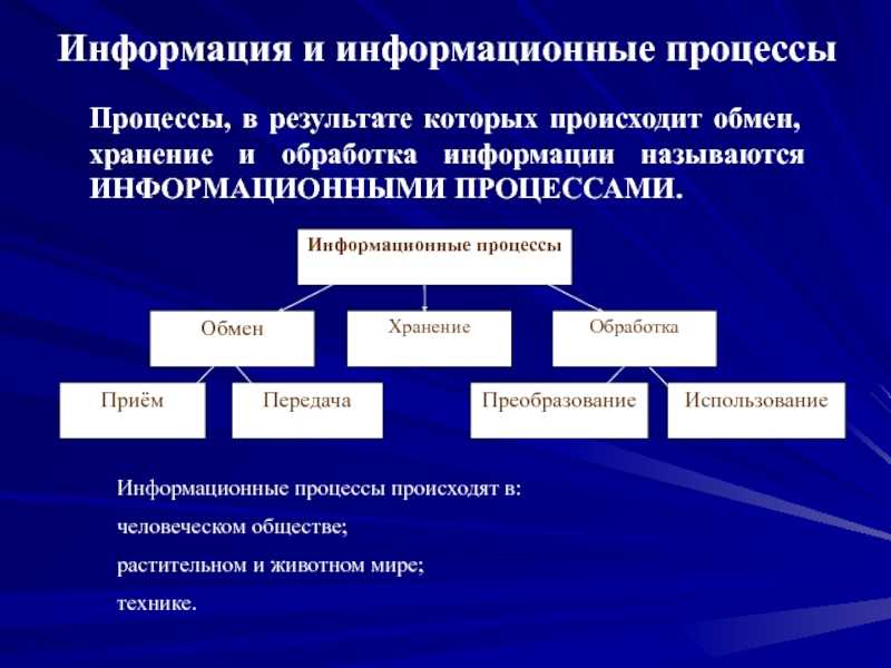 Параграф 33 - естествознание. 10 класс. габриелян о. с. — викирешебник