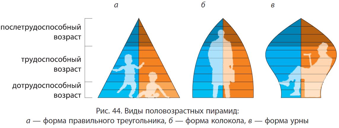 Возрастной и половой состав населения мира. географические различия.
