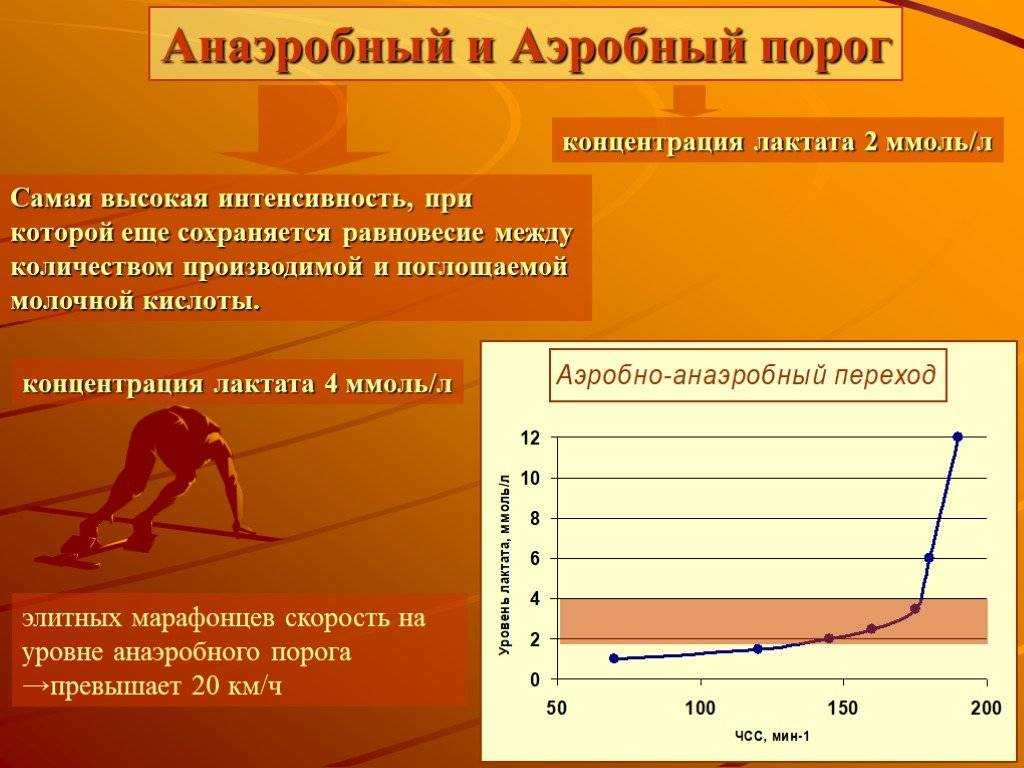 Аэробная и анаэробная производительность организма - определение термина