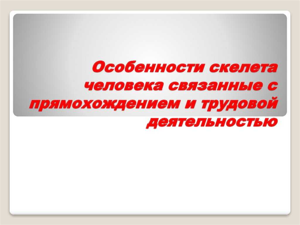 Презентация по биологии на тему особенности скелета человека, связанные с прямохождением и трудовой деятельностью (8 класс)  доклад, проект