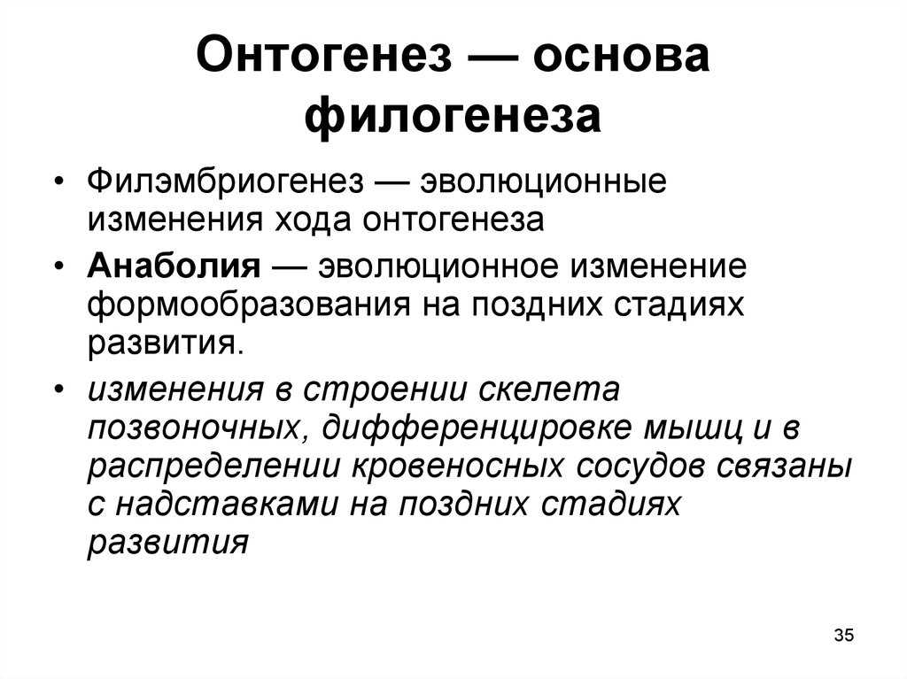 Онтогенез, филогенез и рекапитуляция. эмбрионы, гены и эволюция