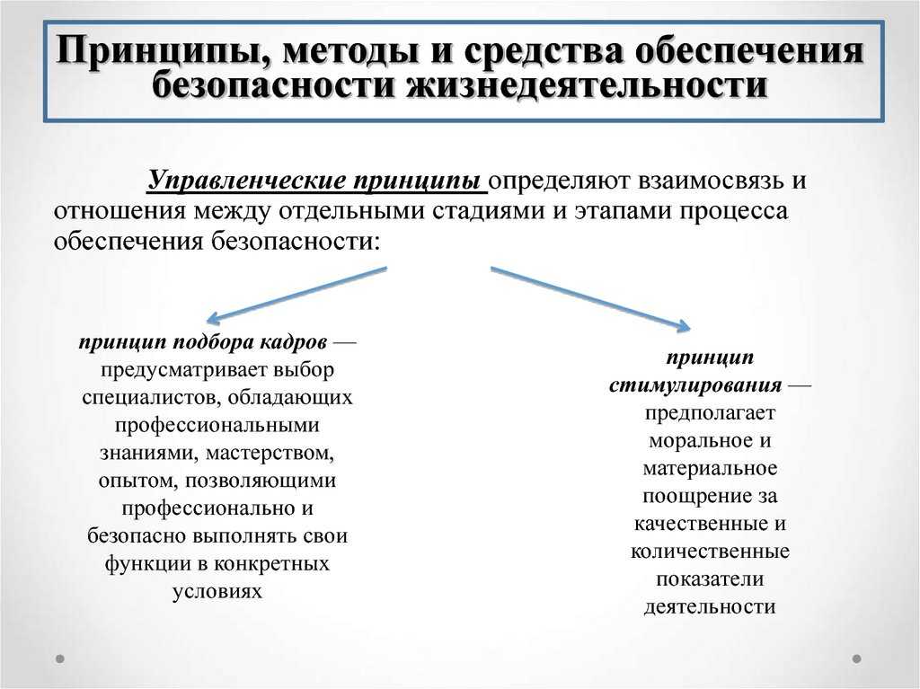 Понятие безопасности. системы безопасности. принципы и методы обеспечения безопасности