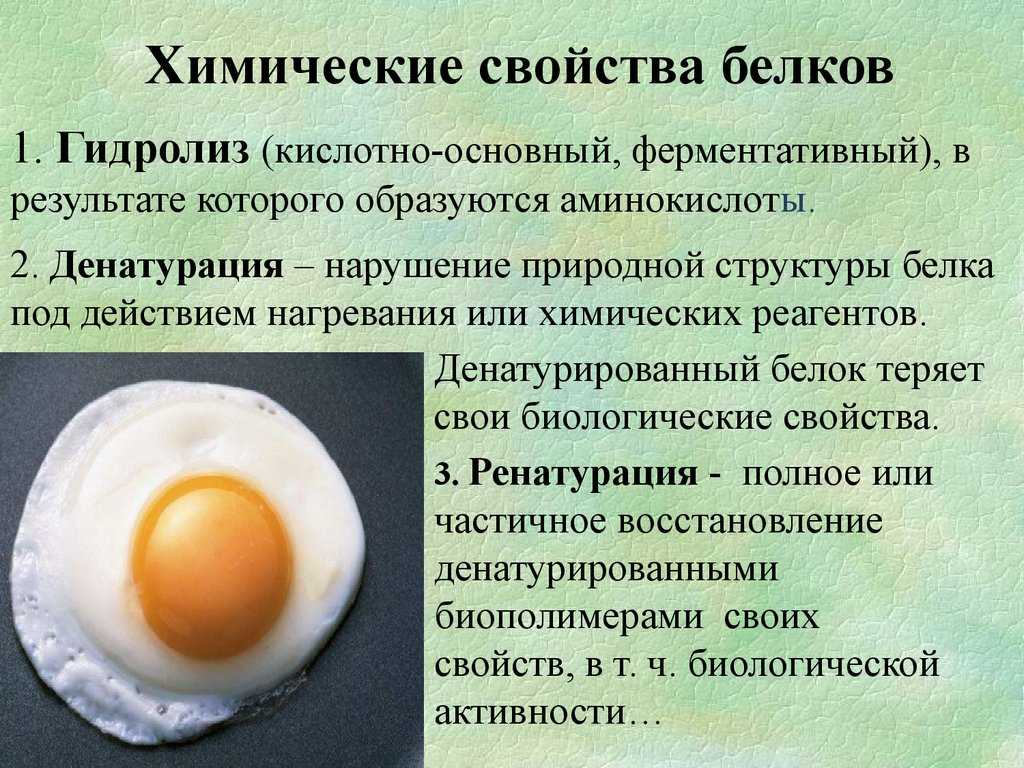 Уравнение биуретовой реакции для фрагмента белка