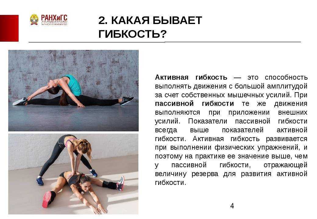 Динамическая и статическая гибкость