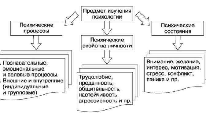 Урок 1. общая психология