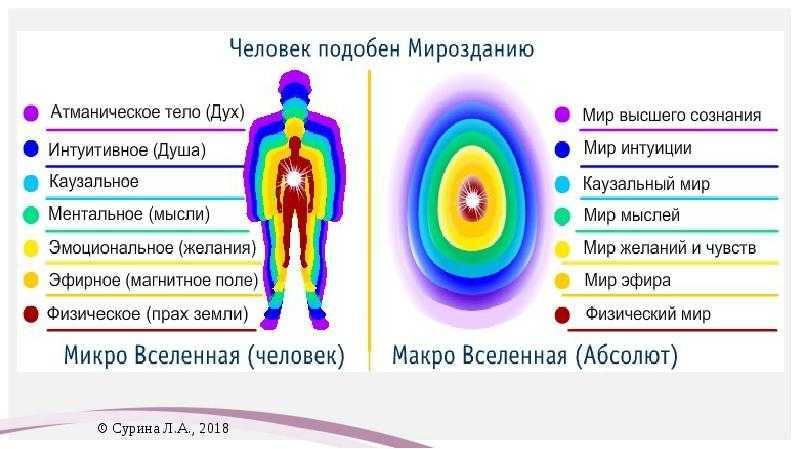Природа и сущность человека в философии кратко конспект