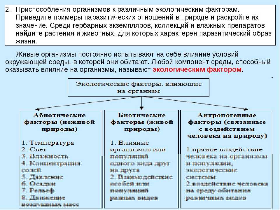 Конспект "среды обитания. экологические факторы" - учительpro