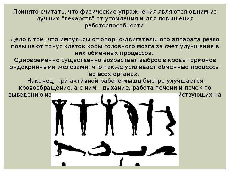 Обмен веществ и энергии в организме. часть 8.