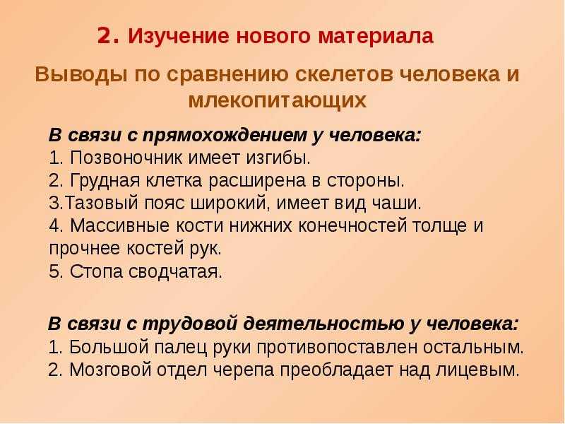 Сходство и различия в строении скелета человека и животных