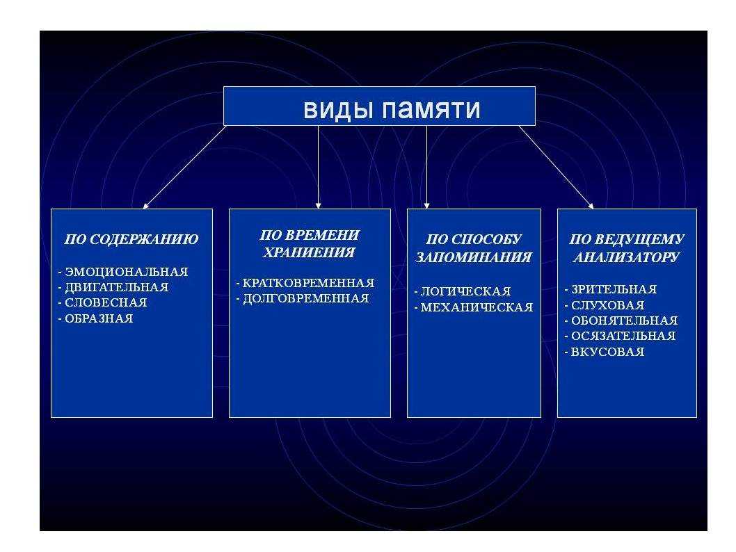 Память: понятие, функции и свойства, виды, процессы памяти