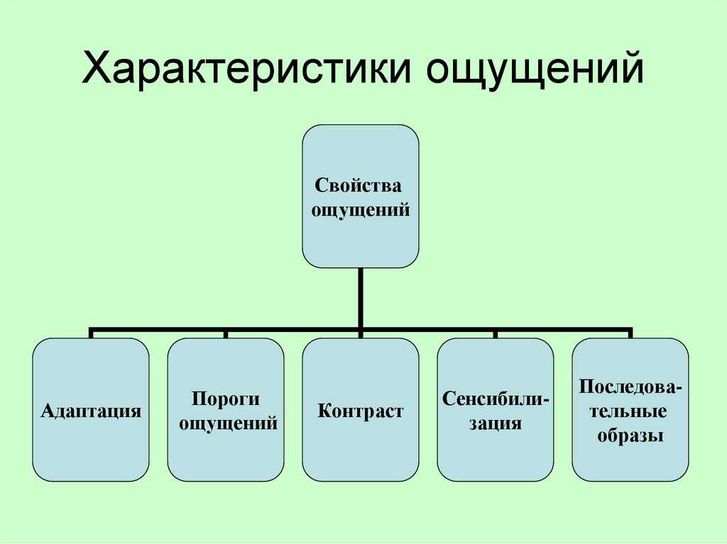 Основные свойства и характеристики ощущений