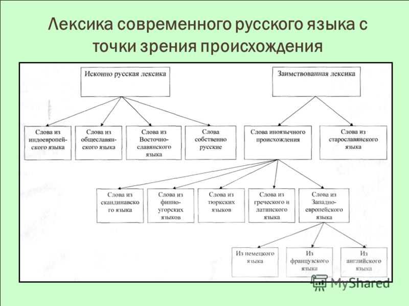 Лексика русского языка с точки зрения употребления и происхождения