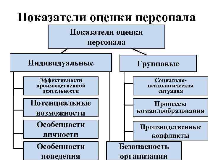 Отдел кадров на предприятии: функции, обязанности, структура