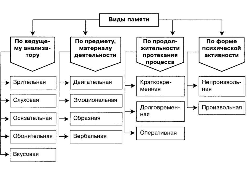 Виды памяти у человека