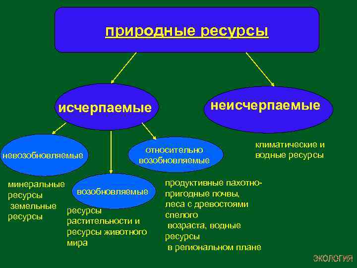 Ресурсы возобновляемые