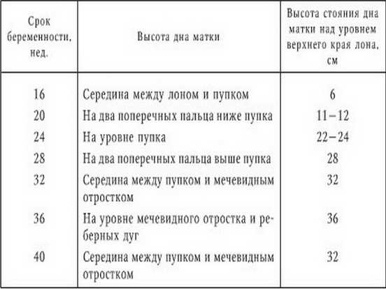 Презентация на тему: "срс на тему: интерпретация гравидограммы подготовила: байдиллаева д.ж группа: ом к проверил: майкупов м.м. с.ж.асфендияров атындағы қазақ ұлттық.". скачать бесплатно и без регистрации.