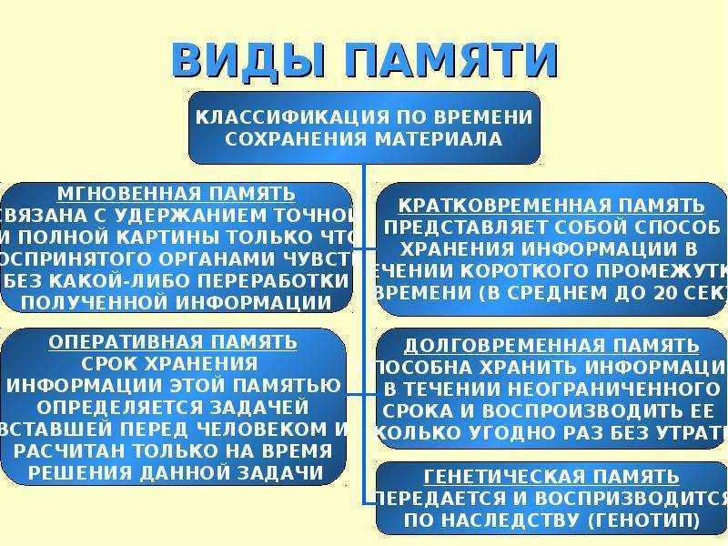 Виды памяти: их характеристика, чем отличаются, классификация